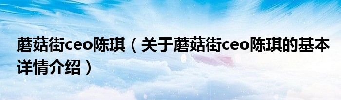 蘑菇街ceo陈琪（关于蘑菇街ceo陈琪的基本详情介绍）