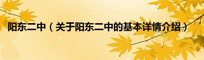 阳东二中（关于阳东二中的基本详情介绍）