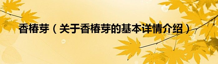 香椿芽（关于香椿芽的基本详情介绍）