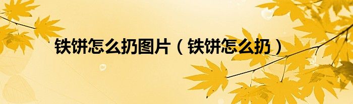 铁饼怎么扔图片（铁饼怎么扔）