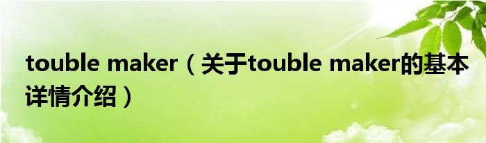 touble maker（关于touble maker的基本详情介绍）