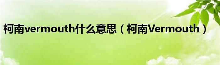 柯南vermouth什么意思（柯南Vermouth）