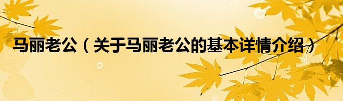 马丽老公（关于马丽老公的基本详情介绍）