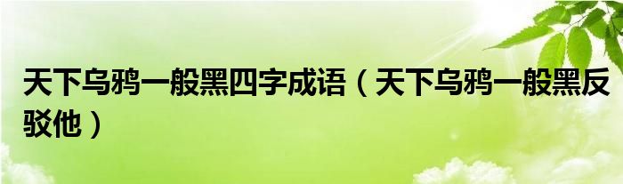 天下乌鸦一般黑四字成语（天下乌鸦一般黑反驳他）