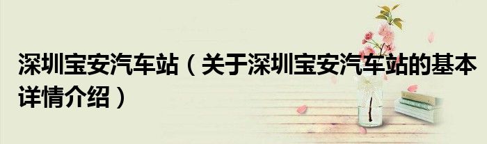 深圳宝安汽车站（关于深圳宝安汽车站的基本详情介绍）