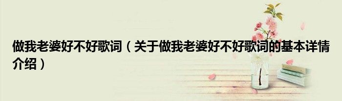 做我老婆好不好歌词（关于做我老婆好不好歌词的基本详情介绍）
