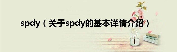 spdy（关于spdy的基本详情介绍）