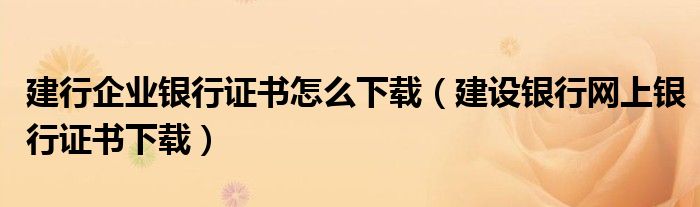 建行企业银行证书怎么下载（建设银行网上银行证书下载）
