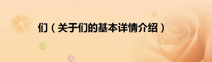 们（关于们的基本详情介绍）