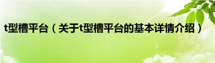 t型槽平台（关于t型槽平台的基本详情介绍）