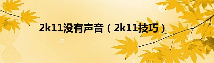 2k11没有声音（2k11技巧）
