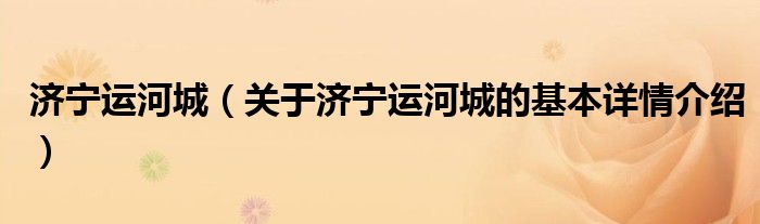 济宁运河城（关于济宁运河城的基本详情介绍）