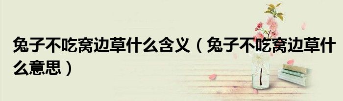 兔子不吃窝边草什么含义（兔子不吃窝边草什么意思）