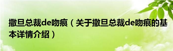 撒旦总裁de吻痕（关于撒旦总裁de吻痕的基本详情介绍）