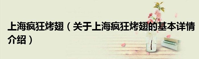 上海疯狂烤翅（关于上海疯狂烤翅的基本详情介绍）