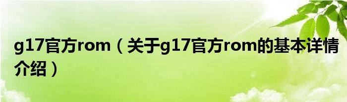 g17官方rom（关于g17官方rom的基本详情介绍）