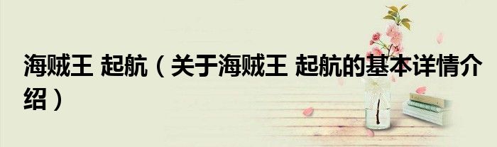 海贼王 起航（关于海贼王 起航的基本详情介绍）