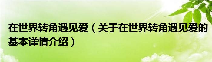 在世界转角遇见爱（关于在世界转角遇见爱的基本详情介绍）