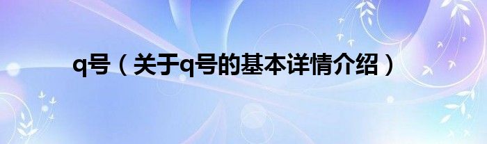 q号（关于q号的基本详情介绍）