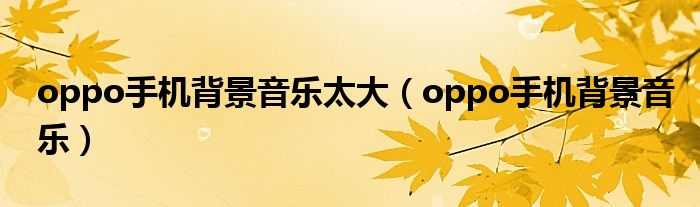 oppo手机背景音乐太大（oppo手机背景音乐）