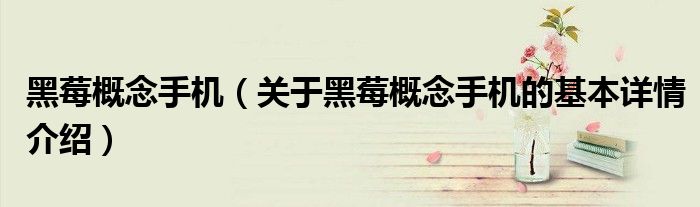 黑莓概念手机（关于黑莓概念手机的基本详情介绍）