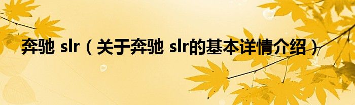 奔驰 slr（关于奔驰 slr的基本详情介绍）