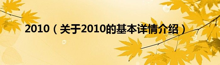 2010（关于2010的基本详情介绍）