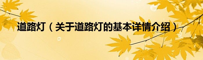 道路灯（关于道路灯的基本详情介绍）