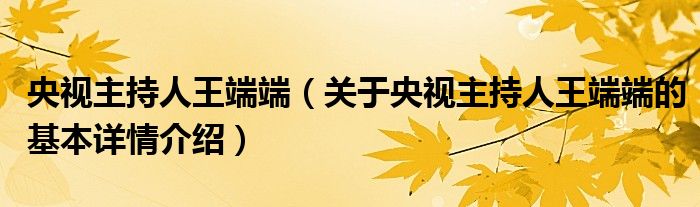 央视主持人王端端（关于央视主持人王端端的基本详情介绍）