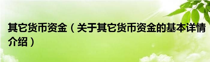 其它货币资金（关于其它货币资金的基本详情介绍）