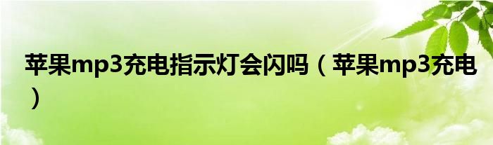 苹果mp3充电指示灯会闪吗（苹果mp3充电）