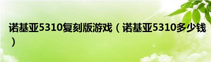诺基亚5310复刻版游戏（诺基亚5310多少钱）