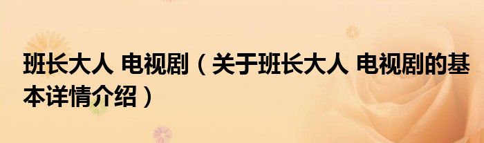班长大人 电视剧（关于班长大人 电视剧的基本详情介绍）