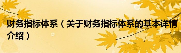 财务指标体系（关于财务指标体系的基本详情介绍）