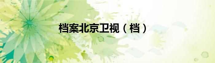 档案北京卫视（档）
