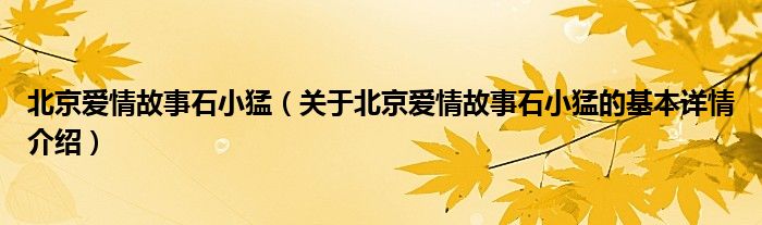 北京爱情故事石小猛（关于北京爱情故事石小猛的基本详情介绍）