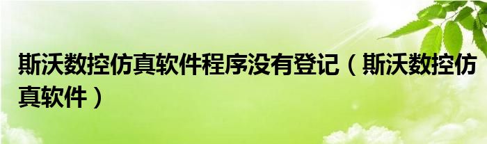 斯沃数控仿真软件程序没有登记（斯沃数控仿真软件）
