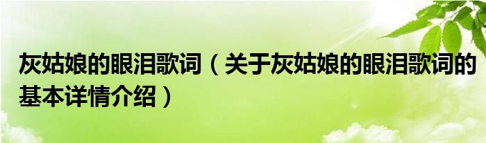 灰姑娘的眼泪歌词（关于灰姑娘的眼泪歌词的基本详情介绍）