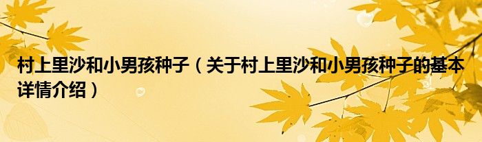 村上里沙和小男孩种子（关于村上里沙和小男孩种子的基本详情介绍）