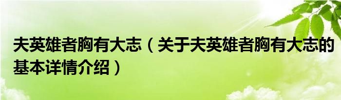 夫英雄者胸有大志（关于夫英雄者胸有大志的基本详情介绍）
