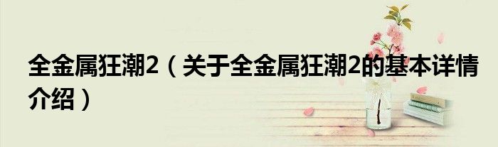 全金属狂潮2（关于全金属狂潮2的基本详情介绍）