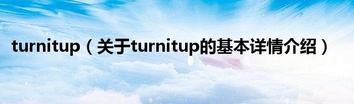 turnitup（关于turnitup的基本详情介绍）