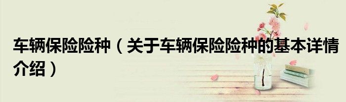 车辆保险险种（关于车辆保险险种的基本详情介绍）