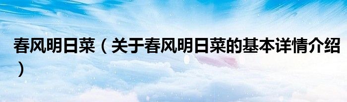 春风明日菜（关于春风明日菜的基本详情介绍）