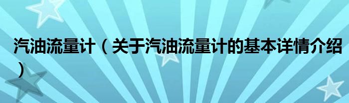 汽油流量计（关于汽油流量计的基本详情介绍）