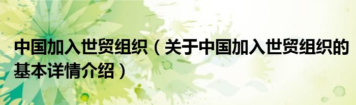 中国加入世贸组织（关于中国加入世贸组织的基本详情介绍）