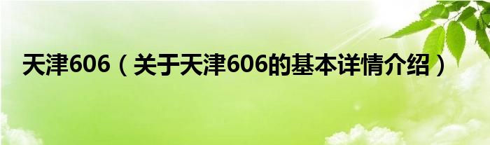 天津606（关于天津606的基本详情介绍）