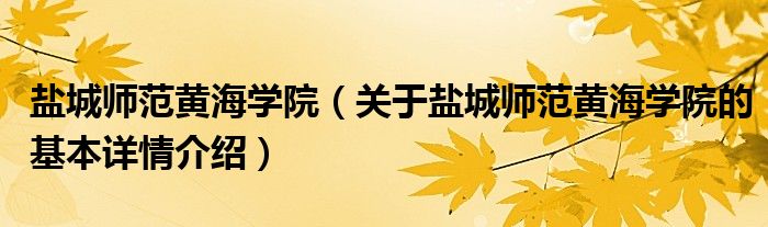 盐城师范黄海学院（关于盐城师范黄海学院的基本详情介绍）