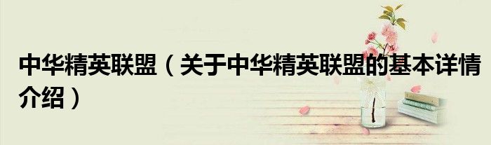 中华精英联盟（关于中华精英联盟的基本详情介绍）