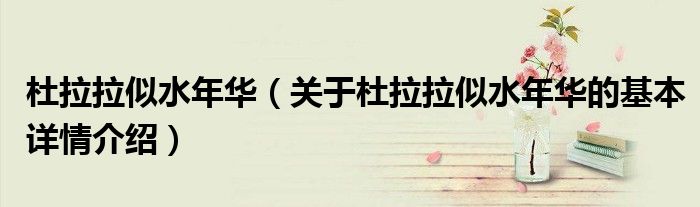 杜拉拉似水年华（关于杜拉拉似水年华的基本详情介绍）